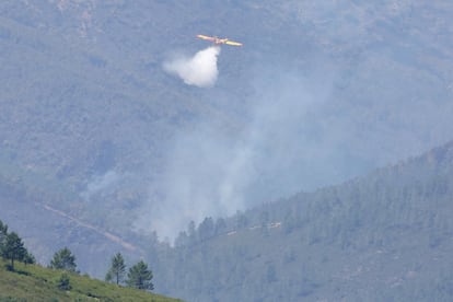 Con la ola de calor se avivan los incendios. En la imagen, un hidroavión vierte agua sobre el incendio forestal declarado en Monsagro (Salamanca), este jueves. Los dos incendios localizados en la provincia de Salamanca, en Monsagro y Candelario, han arrasado ya unas 3.300 hectáreas, en función de los datos provisionales disponibles.