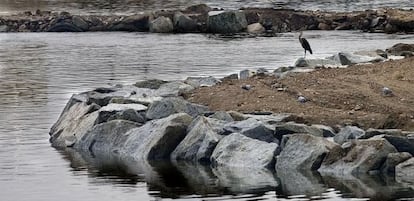 Delta del r&iacute;o Bes&oacute;s, en la provincia de Barcelona.