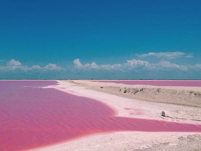 Este lago rosa es el lugar más ‘instagrameable’ del mundo