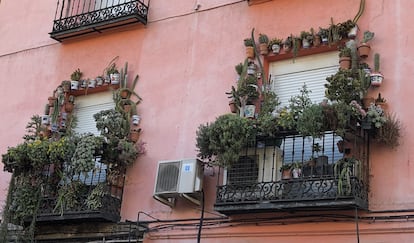 Dos balcones repletos de plantas suculentas que resistirán semanas sin riego.