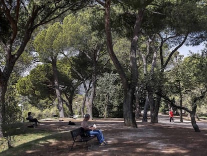 Un hombre lee sentado en un banco del parque de la Dehesa de la Villa.