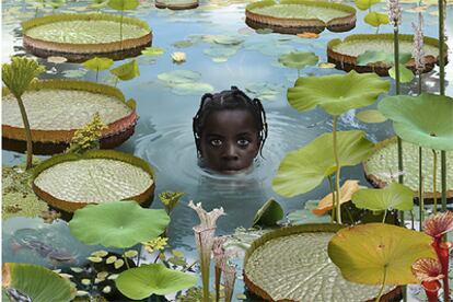 &#39;World&#39;, fotografía de Ruud van Empel.