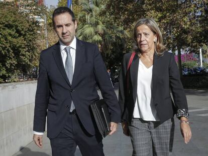 La tesorera del PP, Carmen Navarro, llega a declarar al juzgado de Instrucci&oacute;n 18 de Valencia.