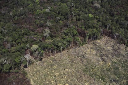 Un tramo de la Amazonia, recientemente deforestado para uso agrícola.