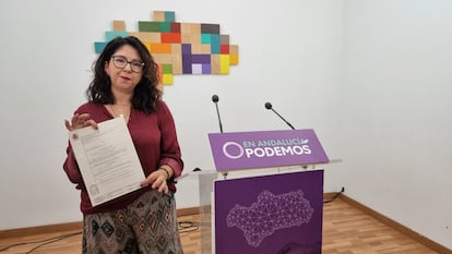 La coordinadora general de Podemos Andalucía, Raquel Martínez, este lunes. / CEDIDA