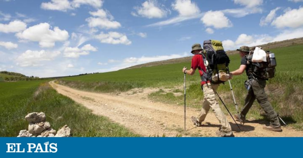 Down the wrong path: Spanish city fights against fake signs on Camino de Santiago
