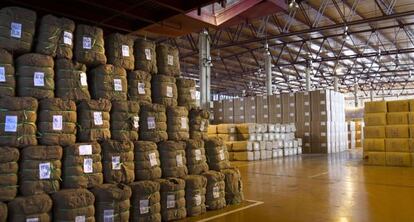 Interior de la planta tabacalera de Altadis en Cádiz, cerrada recientemente.