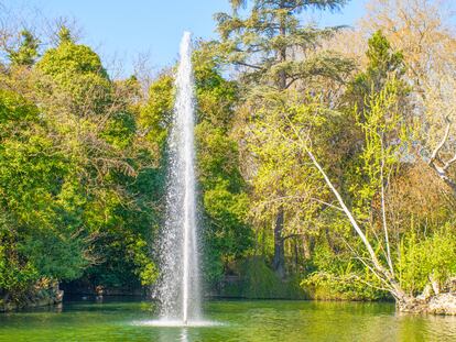 El estanque del Campo Grande y una de sus isletas al comienzo de la primavera, en Valladolid.