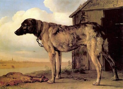 Paulus Potter era el pintor de los animales, como recuerda el director adjunto Gabriele Finaldi. Famoso por sus vacas, el Prado se ha traído un enigmático perro, que representaba al del mecenas del artista, Dirk Tulp.