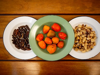 Cumaru, Pupunha y castaña de la Amazonia, frutos con los que elaboran Helados en Sorvetes Bárbaros.