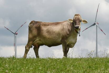 Una vaca con molinos de fondo en Wildpoldsried, un pueblo del sur de Alemania.