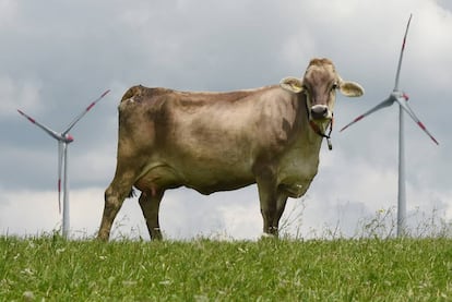 Uma vaca nos moinhos de Wildpoldsried, cidade do sul da Alemanha