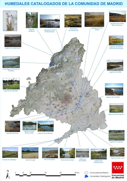 La distribución de los humedales en la región madrileña.