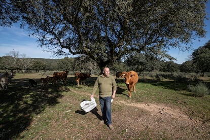 Julián Sánchez es ganadero y tiene 50 vacas. Su parcela es una de las que Berkeley intentó comprar. Aunque él se ha negado sabe que si finalmente se autorizara el proyecto, le podrían expropiar sus tierras. "Estoy totalmente en contra". 