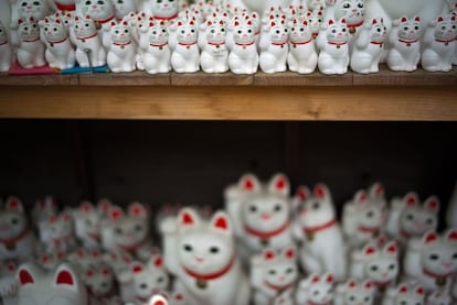 Figuritas de "maneki-neko" en el templo de Gotokuji, en Tokio. Según la leyenda, la presencia y el origen de los gatos japoneses de la suerte se remonta al siglo XV, cuando un samurai decidió convertirse en benefactor del templo en agradecimiento a Tama, el gato de un sacerdote, que invitó al guerrero a pasar levantando la pata derecha antes de que estallará una gran tormenta.