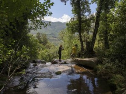 Un grupo de vecinos prestó auxilio al único superviviente de la familia que murió en el Barranco de Hoyos