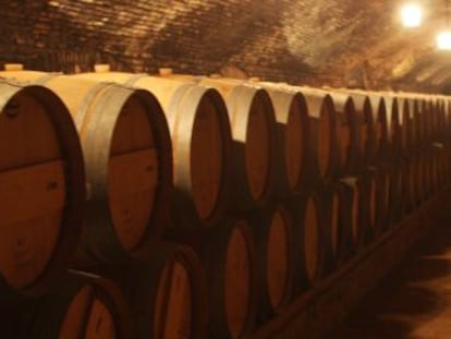 Barricas de las bodegas Concha y Toro de Chile.