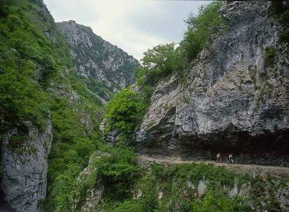 Dos excursionistas recorren el estrecho camino del desfiladero de las Xanas, en Asturias.