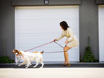 ¿Paseo con el perro o él me pasea a mí?