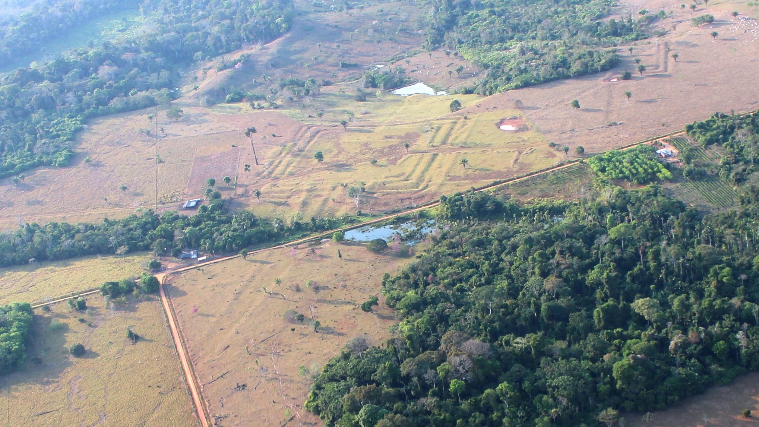 Más de 20.000 geoglifos ocultos en la selva revelan una Amazonia precolonial densamente habitada