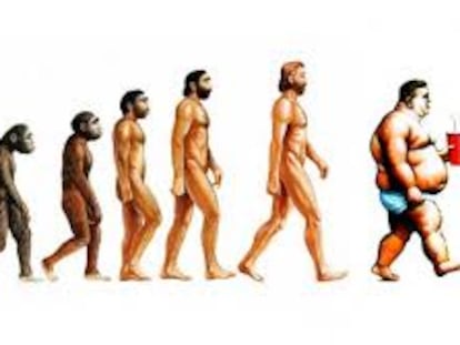 Taxonomía del Homo Consumens en la era 3.0