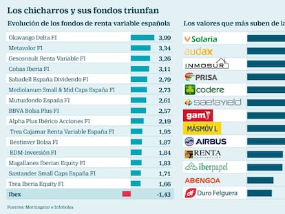 Los fondos eluden las pérdidas de la Bolsa gracias a los valores pequeños