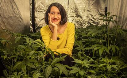 Corla Pérez, presidenta del Observatorio Español de Cannabis Madicinal, en su cultivo casero.