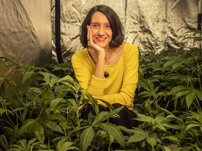 Corla Pérez, presidenta del Observatorio Español de Cannabis Madicinal, en su cultivo casero.