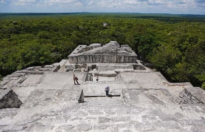 Vista general de la estructura de Calakmul, una de las ciudades más importantes de la civilización maya, que ha sido declarada por la Unesco patrimonio mixto de la humanidad.