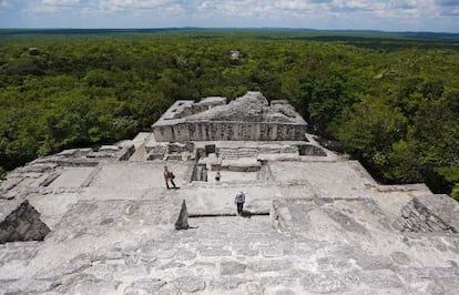 Vista general de la estructura de Calakmul, una de las ciudades m&aacute;s importantes de la civilizaci&oacute;n maya, que ha sido declarada por la Unesco patrimonio mixto de la humanidad.