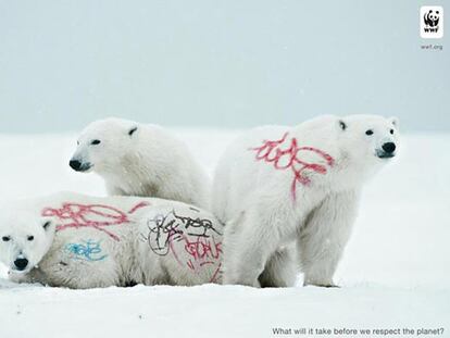WWF