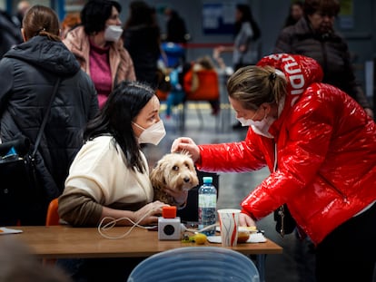 Dos mujeres hablaban este jueves en torno a una mesa en un polideportivo convertido en centro de recepción de refugiados ucranios junto al estadio Ernst Happel de Viena (Austria).