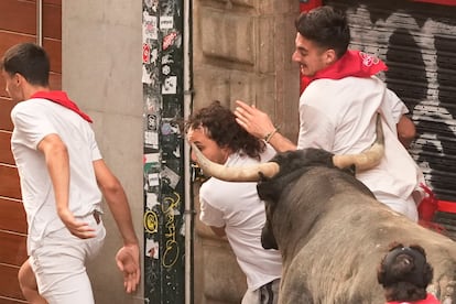 Several young men are attacked by one of the bulls from the Miura ranch during the last running of the bulls of the Sanfermines.