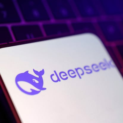 Deepseek logo is seen in this illustration taken January 27, 2025. REUTERS/Dado Ruvic/Illustration