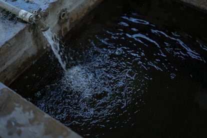 Las comunidades cercanas al Cecot utilizan el agua de sus pozos para todas las actividades domésticas, sin ningún método de purificación.