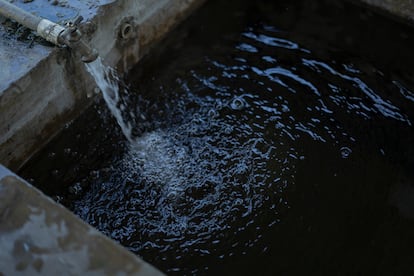 Las comunidades cercanas al Cecot utilizan el agua de sus pozos para todas las actividades domésticas, sin ningún método de purificación. 