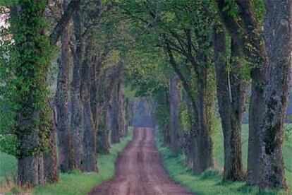 Paisaje de Scania, en Suecia.