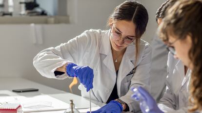 Los estudios de FP cada vez atraen a más alumnos gracias, entre otros motivos, a la gran demanda laboral de sus titulados.