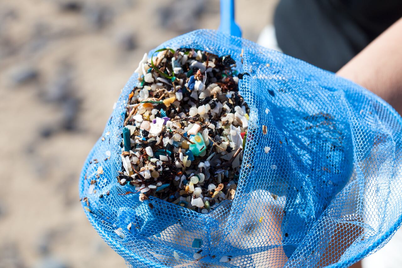 Microplásticos y pellets recogidos en Playa de Famara, Lanzarote, en 2015.