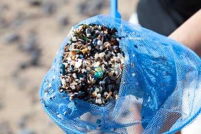 Microplásticos y pellets recogidos en Playa de Famara, Lanzarote, en 2015.