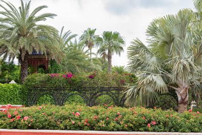 Las palmeras, como la Bismarckia de la derecha, vegetan por todo el jardín.