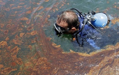 Un buzo nada en aguas contaminadas por el vertido de la platafroma &#039;Deepwater Horizon&#039; en 2010