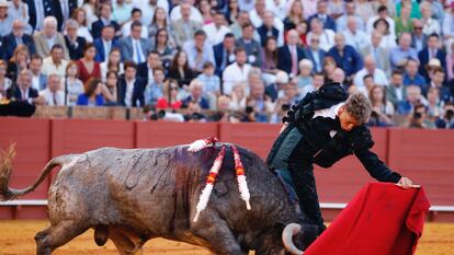 Manuel Escribano torea al natural al toro quinto, al que se le dio la vuelta al ruedo.