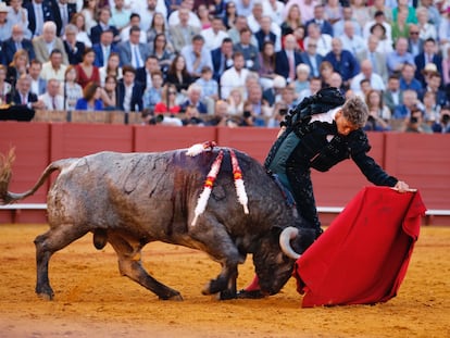 Manuel Escribano torea al natural al toro quinto, al que se le dio la vuelta al ruedo.