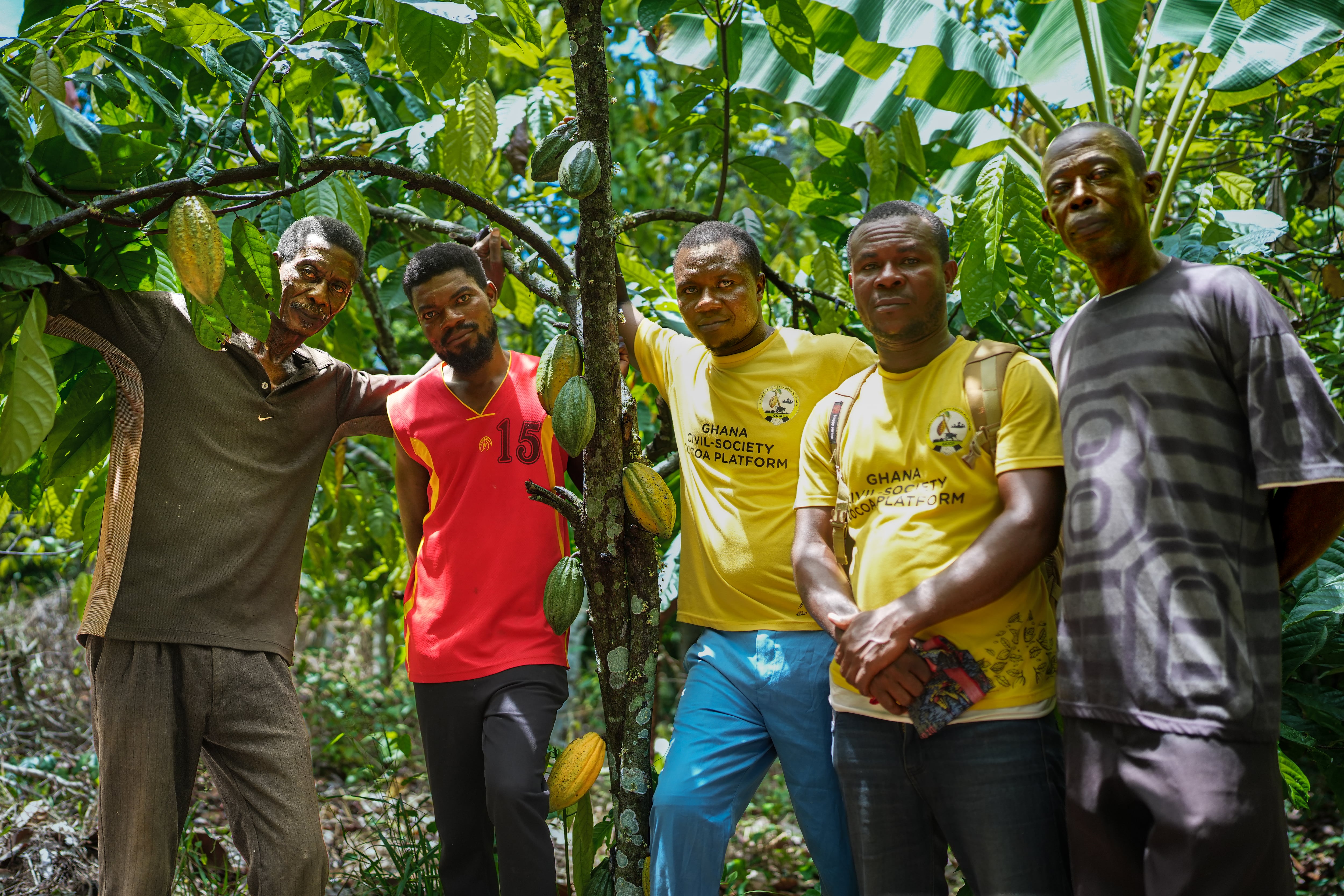El cacao libre de deforestación que exige Europa apenas permite vivir a sus agricultores en Ghana