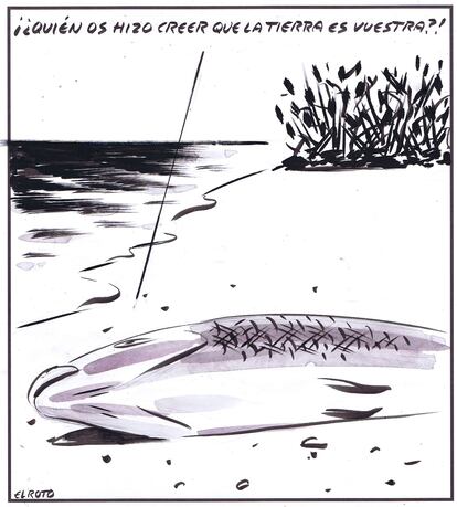 El Roto