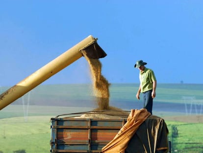 Trabalhador rural sobre um caminhão carregado de soja no Brasil.