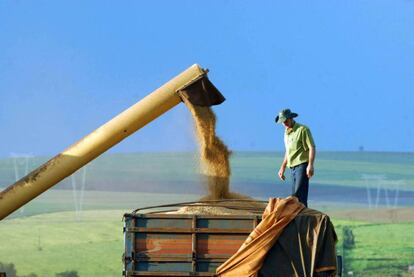 Trabalhador rural sobre um caminhão carregado de soja no Brasil.
