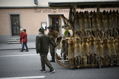 Cazadores transportan pieles en el mercado tradicional de Thusis.