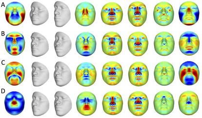 modificaciones en el rostro en función de distintos genes.